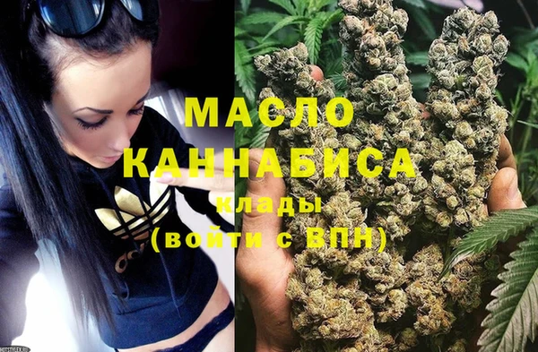крисы Армянск