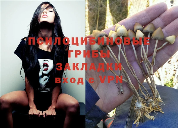 кокаин перу Арсеньев