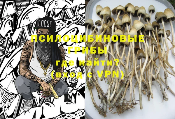 крисы Армянск