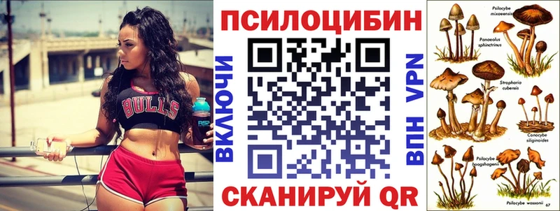 Галлюциногенные грибы Psilocybine cubensis  где можно купить   Ишим 